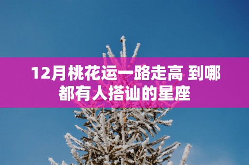 12月桃花运一路走高 到哪都有人搭讪的星座