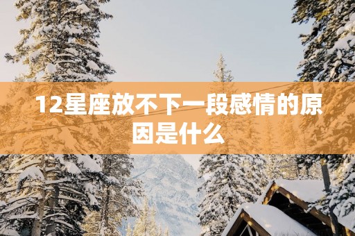 12星座放不下一段感情的原因是什么