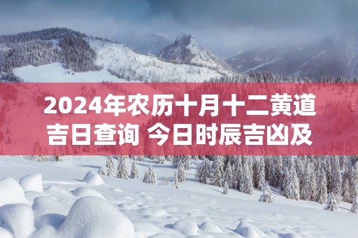 2025年农历十月十二黄道吉日查询 今日时辰吉凶及宜忌
