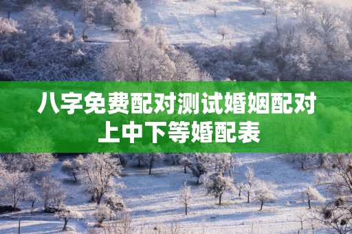 八字免费配对测试婚姻配对 上中下等婚配表
