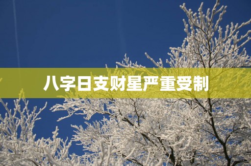 八字日支财星严重受制