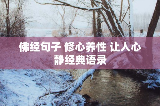 佛经句子 修心养性 让人心静经典语录