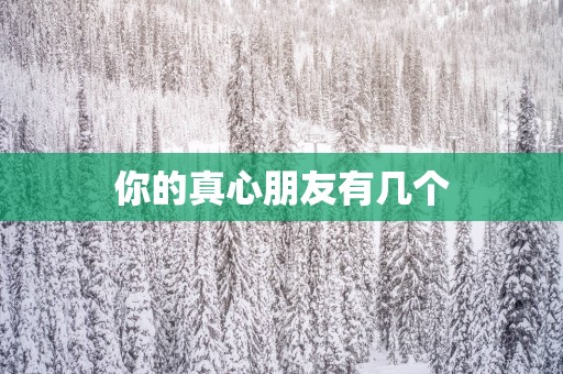 你的真心朋友有几个