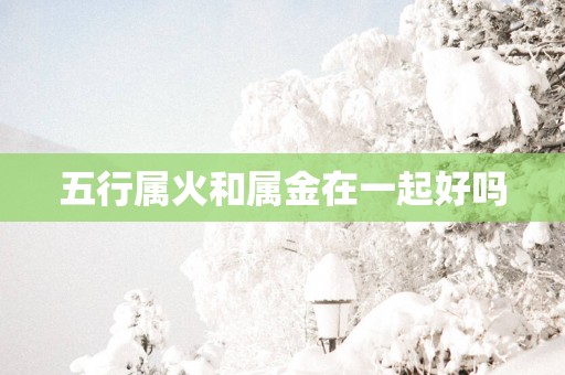 五行属火和属金在一起好吗