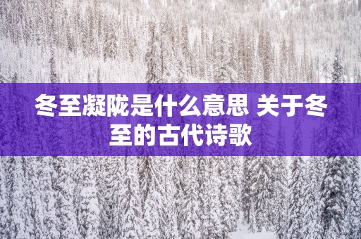 冬至凝陇是什么意思 关于冬至的古代诗歌