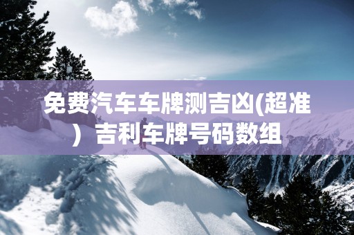 免费汽车车牌测吉凶(超准)  吉利车牌号码数组