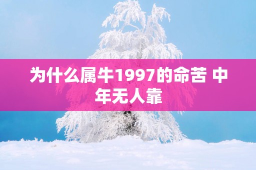 为什么属牛1997的命苦 中年无人靠