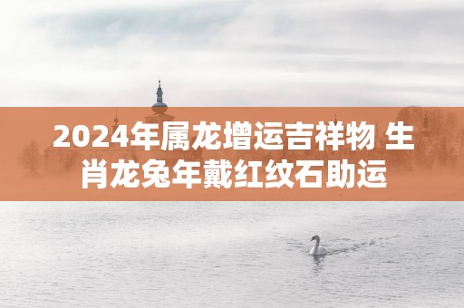 2025年属龙增运吉祥物 生肖龙蛇年戴红纹石助运
