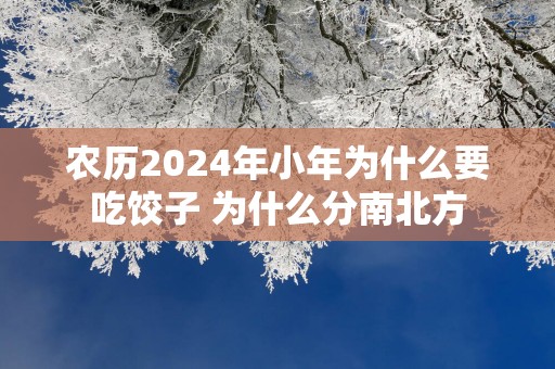 农历2025年小年为什么要吃饺子 为什么分南北方