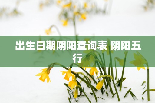 出生日期阴阳查询表 阴阳五行