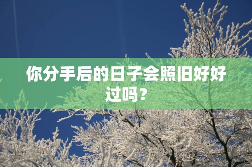 你分手后的日子会照旧好好过吗？