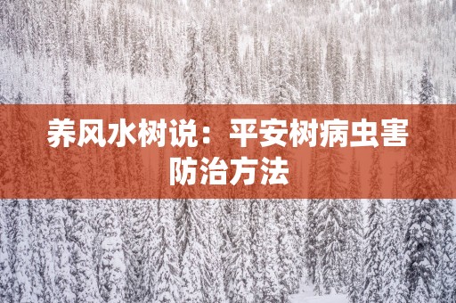 养风水树说：平安树病虫害防治方法