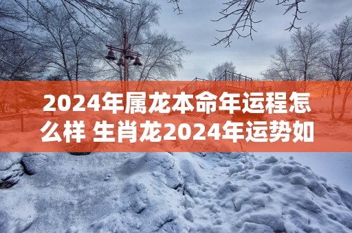 2025年属龙本命年运程怎么样 生肖龙2025年运势如何