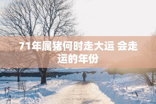 71年属猪何时走大运 会走运的年份