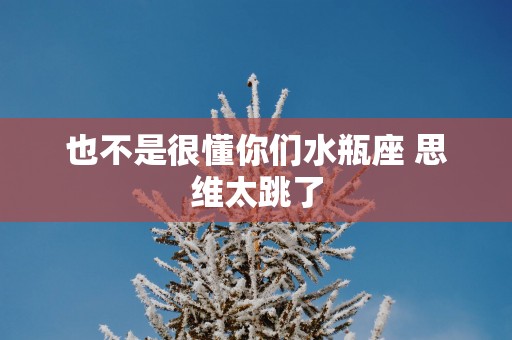 也不是很懂你们水瓶座 思维太跳了