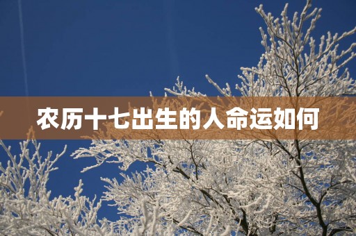 农历十七出生的人命运如何