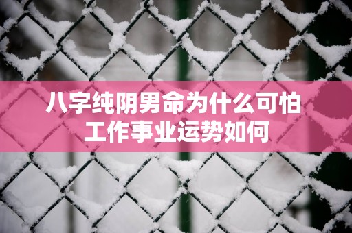 八字纯阴男命为什么可怕 工作事业运势如何