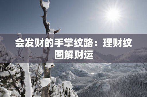 会发财的手掌纹路：理财纹图解财运