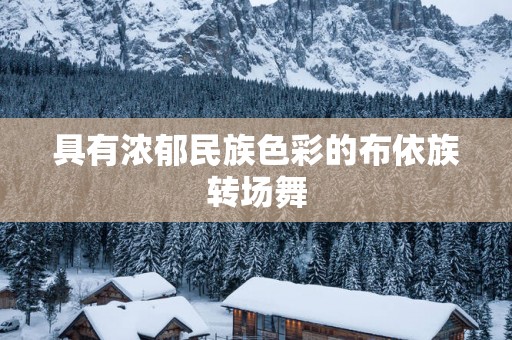 具有浓郁民族色彩的布依族转场舞