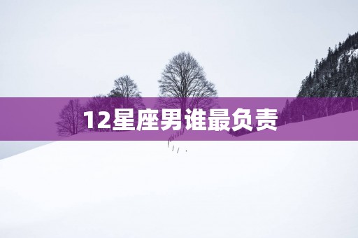12星座男谁最负责