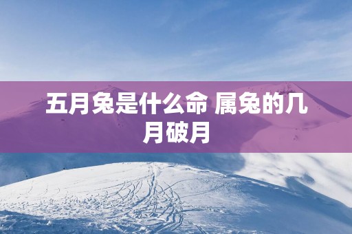 五月兔是什么命 属兔的几月破月