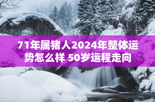 71年属猪人2025年整体运势怎么样 50岁运程走向