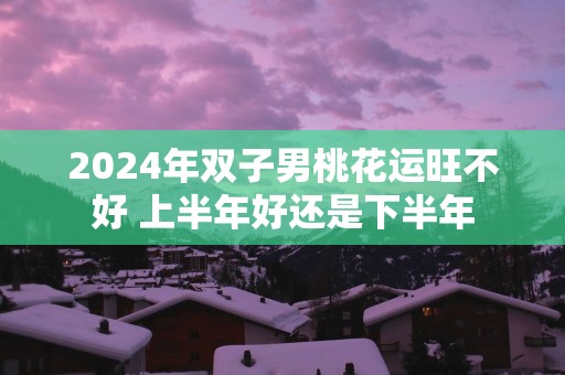 2025年双子男桃花运旺不好 上半年好还是下半年