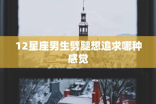 12星座男生劈腿想追求哪种感觉
