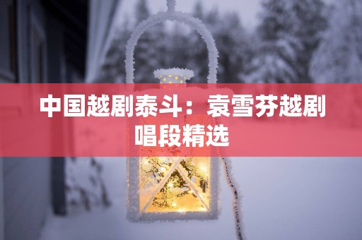 中国越剧泰斗：袁雪芬越剧唱段精选