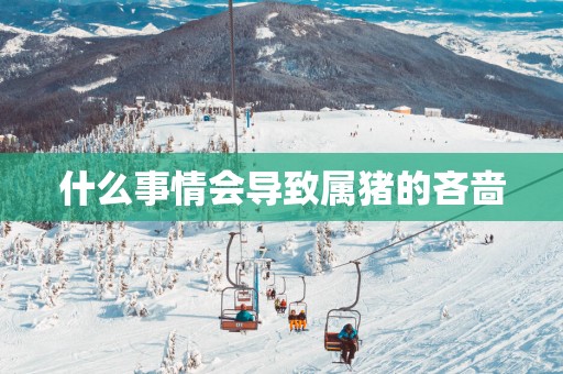 什么事情会导致属猪的吝啬