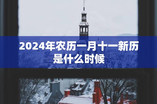 2025年农历一月十一新历是什么时候