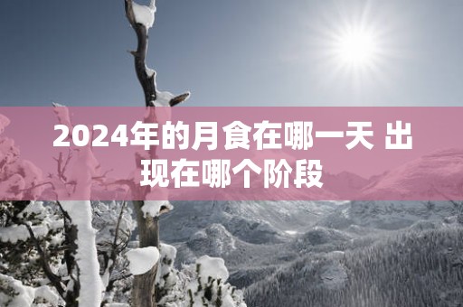 2025年的月食在哪一天 出现在哪个阶段