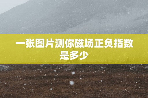 一张图片测你磁场正负指数是多少