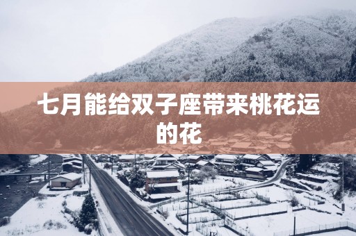 七月能给双子座带来桃花运的花