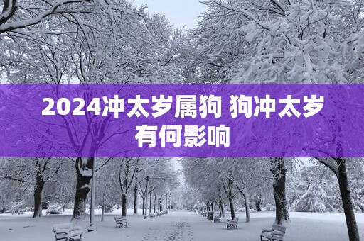 2025冲太岁属狗 狗冲太岁有何影响