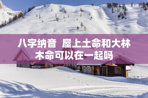 八字纳音  屋上土命和大林木命可以在一起吗