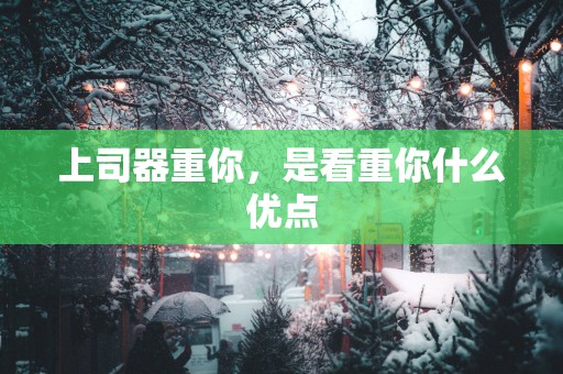 上司器重你，是看重你什么优点