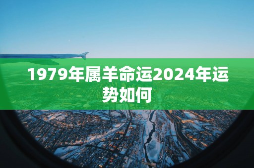 1979年属羊命运2025年运势如何