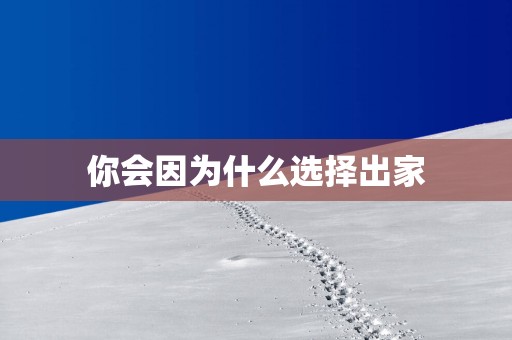 你会因为什么选择出家