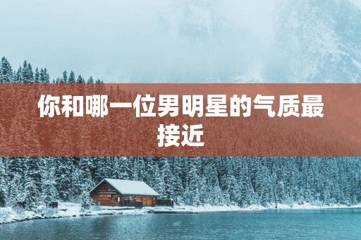 你和哪一位男明星的气质最接近
