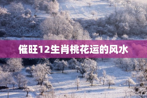 催旺12生肖桃花运的风水