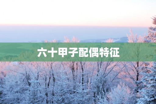 六十甲子配偶特征