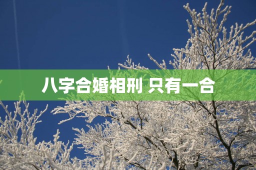 八字合婚相刑 只有一合