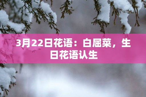 3月22日花语：白屈菜，生日花语认生