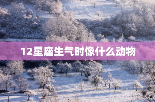 12星座生气时像什么动物