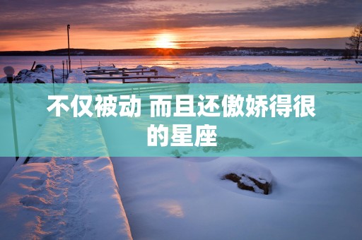 不仅被动 而且还傲娇得很的星座