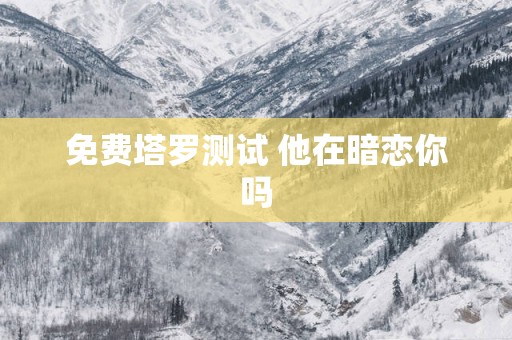 免费塔罗测试 他在暗恋你吗