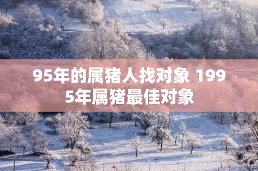 95年的属猪人找对象 1995年属猪最佳对象