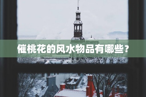 催桃花的风水物品有哪些？