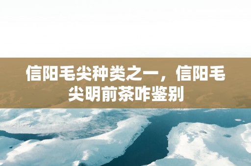 信阳毛尖种类之一，信阳毛尖明前茶咋鉴别